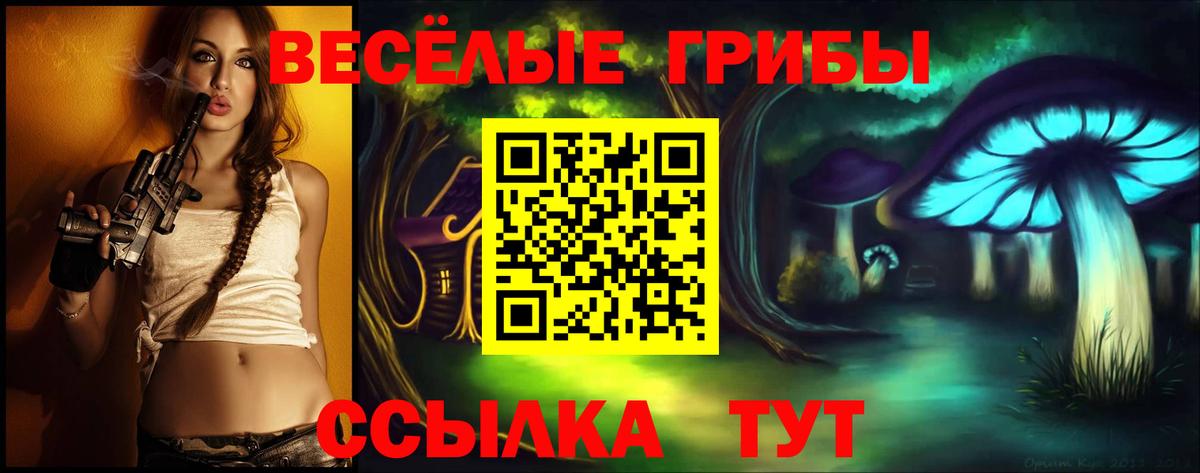 Псилоцибиновые грибы MAGIC MUSHROOMS Камень-на-Оби