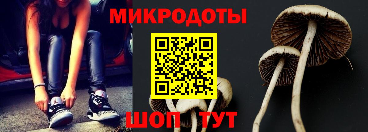 Камень-на-Оби  Галлюциногенные грибы Psilocybe  Вход с VPN 